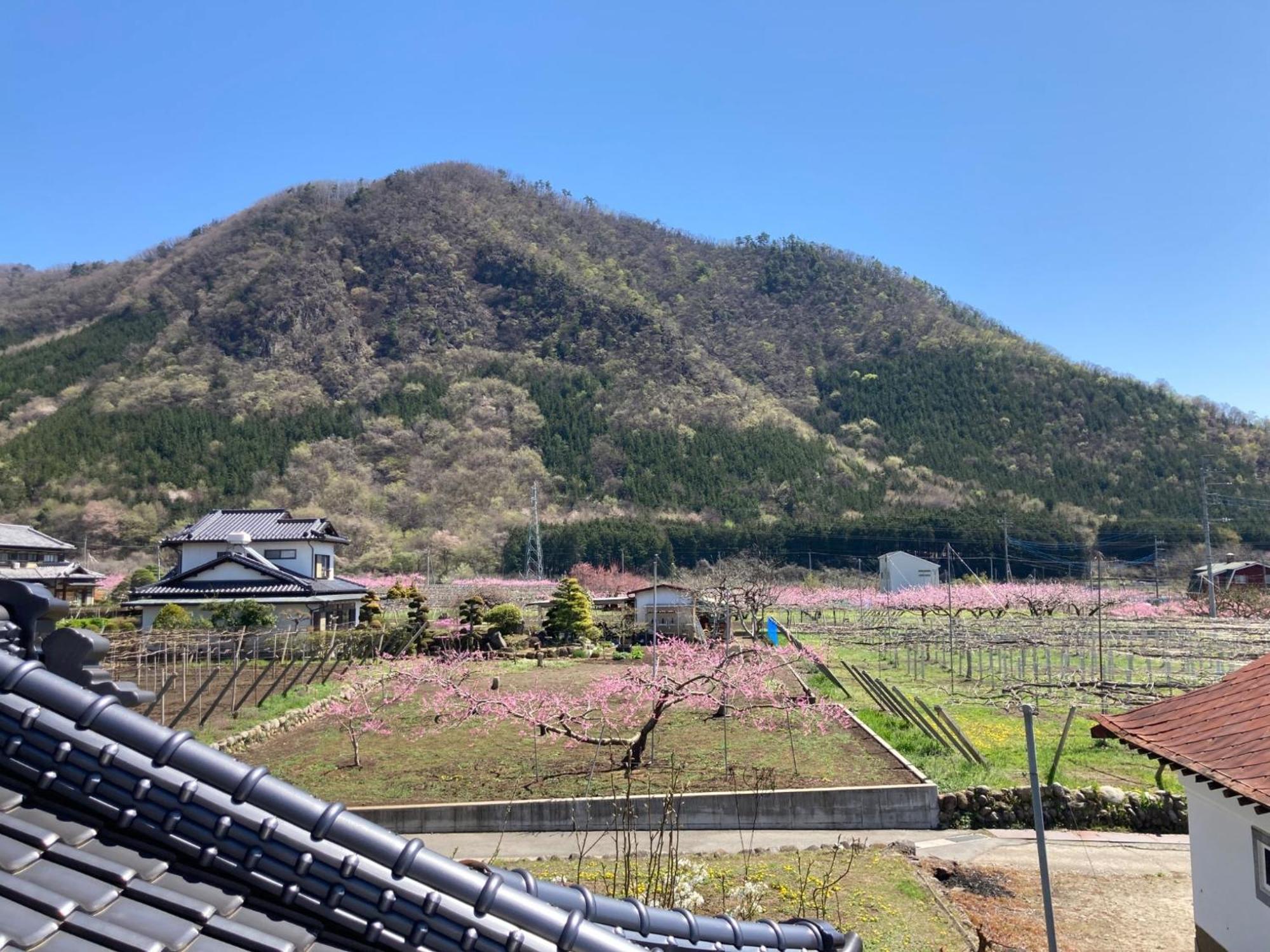 B&B Ladies Only Grape Mama Peach Room - Vacation Stay 11708 Koshu 외부 사진